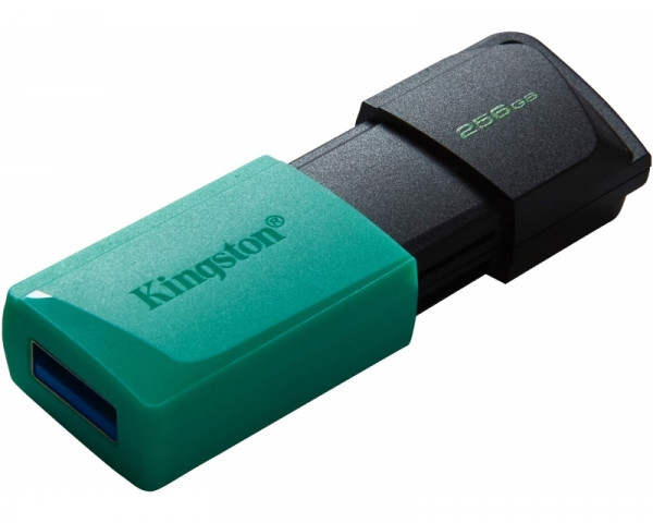 KINGSTON 256GB USB3.2 Gen1 DataTraveler Exodia M DTXM256GB